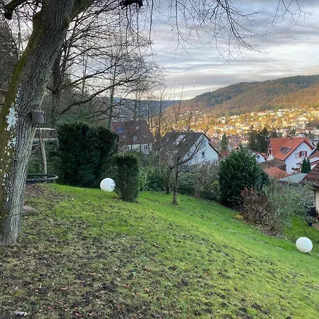Ruhiges Direkt In S-bahn-naehe * Heidelberg